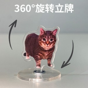 Крутящаяся акриловая фигурка мемный кот Oiia