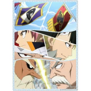 Флаг Fairy Tail