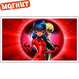 Акриловые магниты Miraculous Ladybug