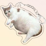 Акриловые брелки Котики