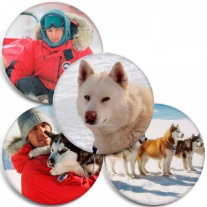 Значки Eight Below