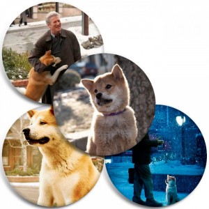 Значки Hachi: A Dogs Tale