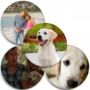 Значки Marley & Me