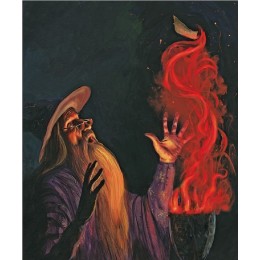 Книга Гарри Поттер и Кубок Огня (с цветными иллюстрациями)