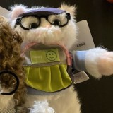 Мягкая игрушка котик в очках