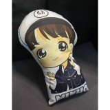 Подушки с персонажами Stray Kids (Gr) KPOP