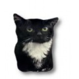 Мягкая игрушка Кот Чмоня