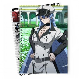 Блокноты Akame ga Kill