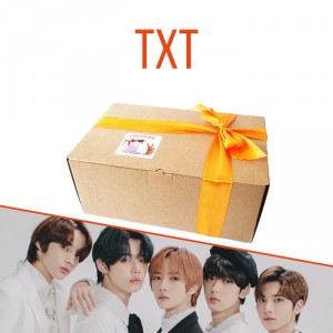 Ламабокс TXT
