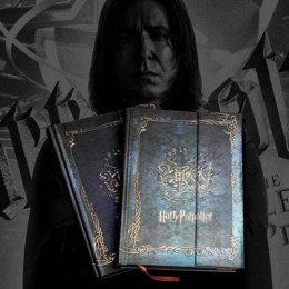 Ежедневник Гарри Поттер Harry Potter