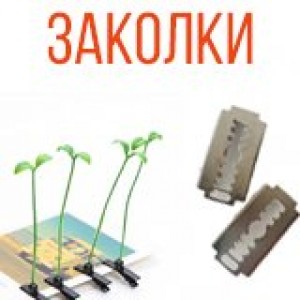 Заколки