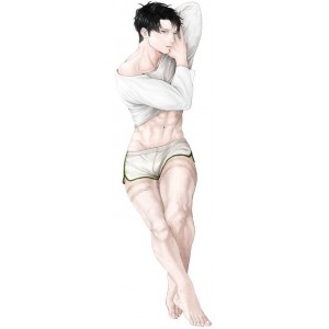 Дакимакура Levi