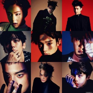 Подушка Exo